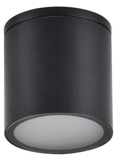 Luce Spot da esterno OHIO 1xGU10/10W/230V IP54 nero