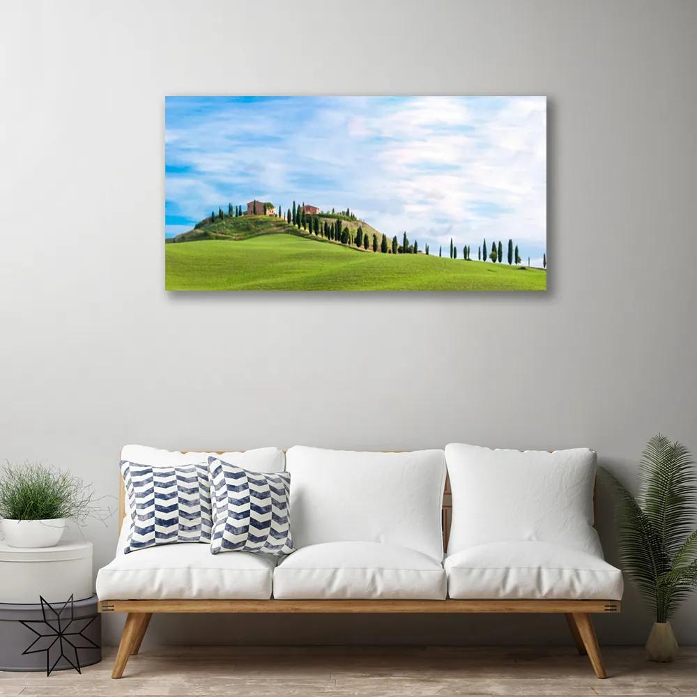 Quadro su tela Paesaggio degli alberi del prato 100x50 cm