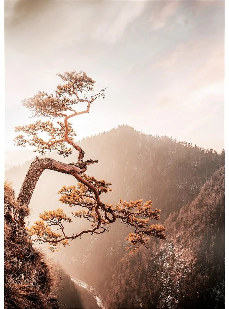 Dipinto su vetro 50x70 cm Brown Tree - Styler