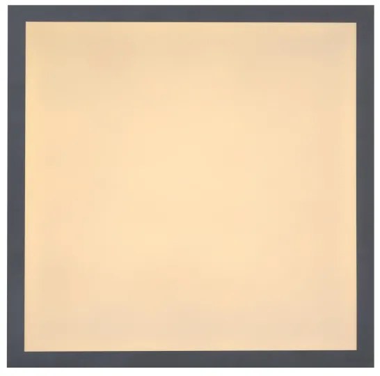 Globo 416080D1 - Plafoniera LED DORO LED/12W/230V