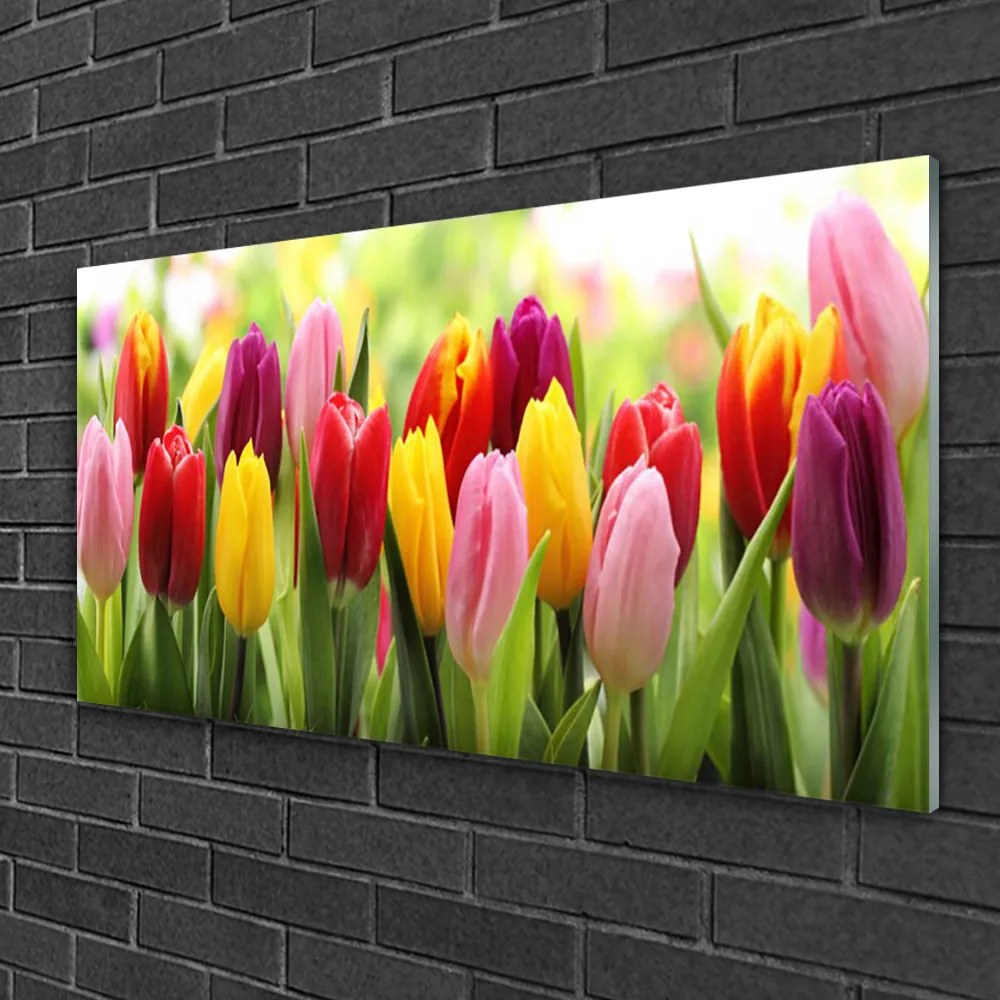 Quadro vetro Tulipani Fiori della natura 100x50 cm