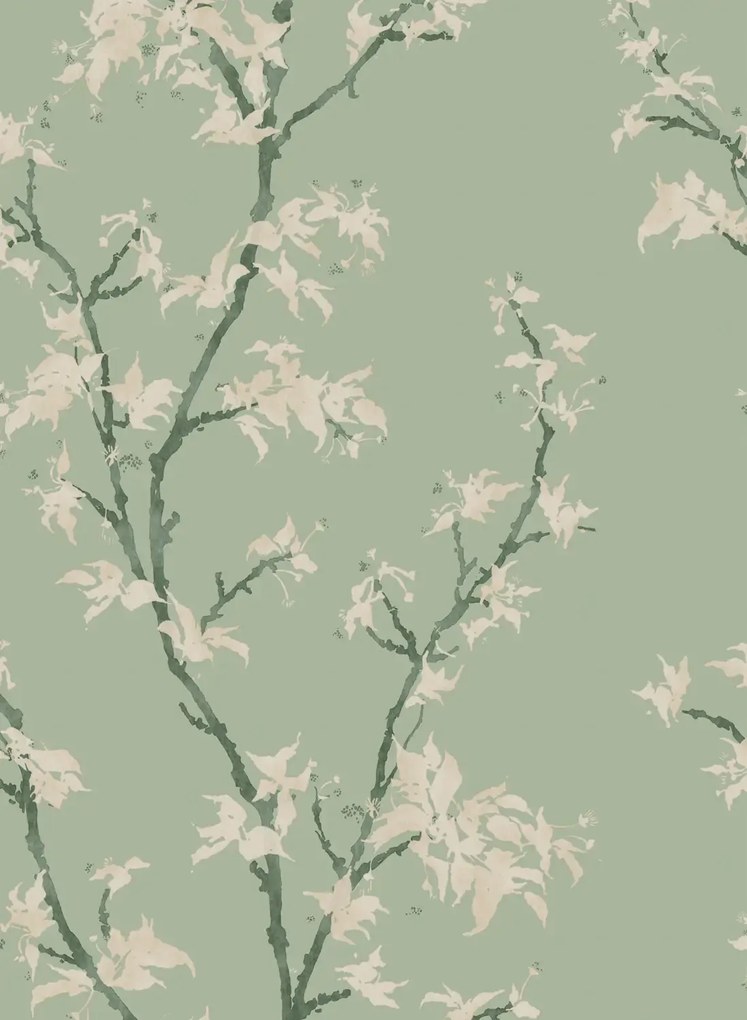 Cole & Son Carta da parati Chinese Branch - Sage