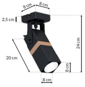 Luce Spot VIDAR 1xGU10/25W/230V nero