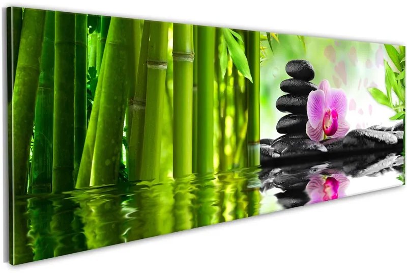 Quadro Terra Zen  Colore Rosa, Dimensioni e Misure 135x45