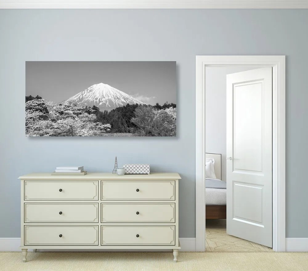 Stampa su tela – Monte Fuji in bianco e nero
