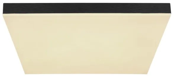 Globo 41594D2 - Plafoniera LED dimmerabile DORO LED/24W/230V nero + +TC