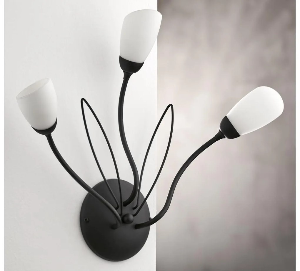 Jupiter 2059 - Lampada da parete GLORIOSA 3xG9/14W/230V nera