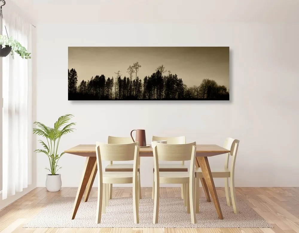 Stampa su tela – Foresta in seppia