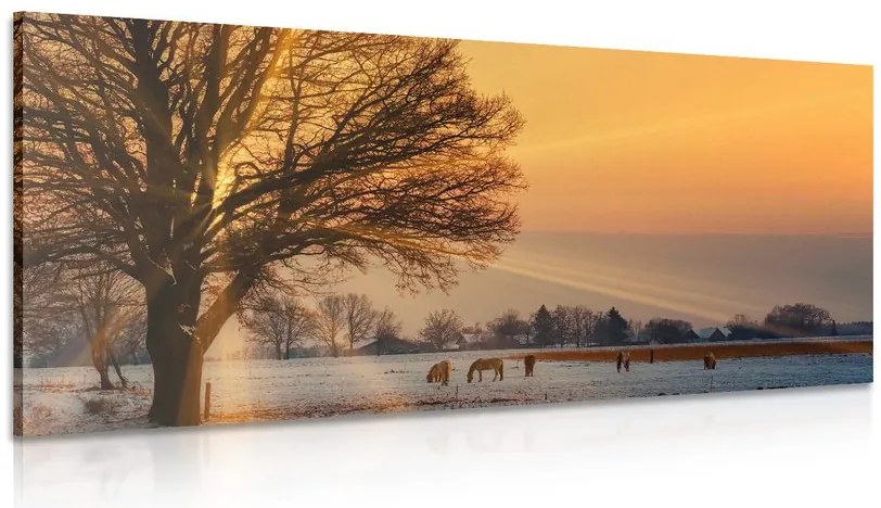 Quadro su tela – Cavalli nel paesaggio innevato