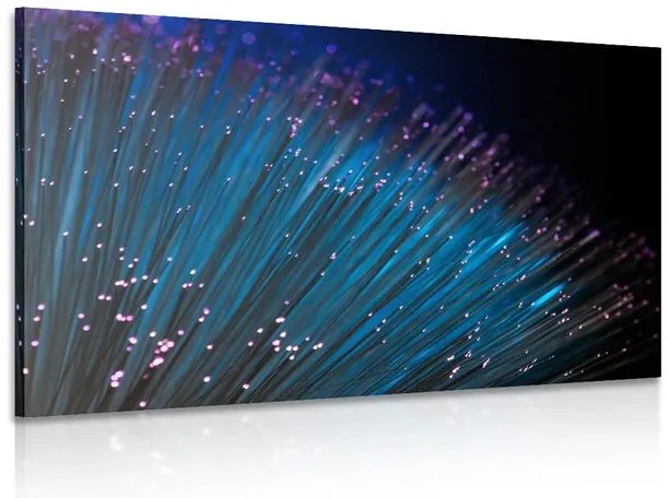 Quadro su tela – Fibra ottica
