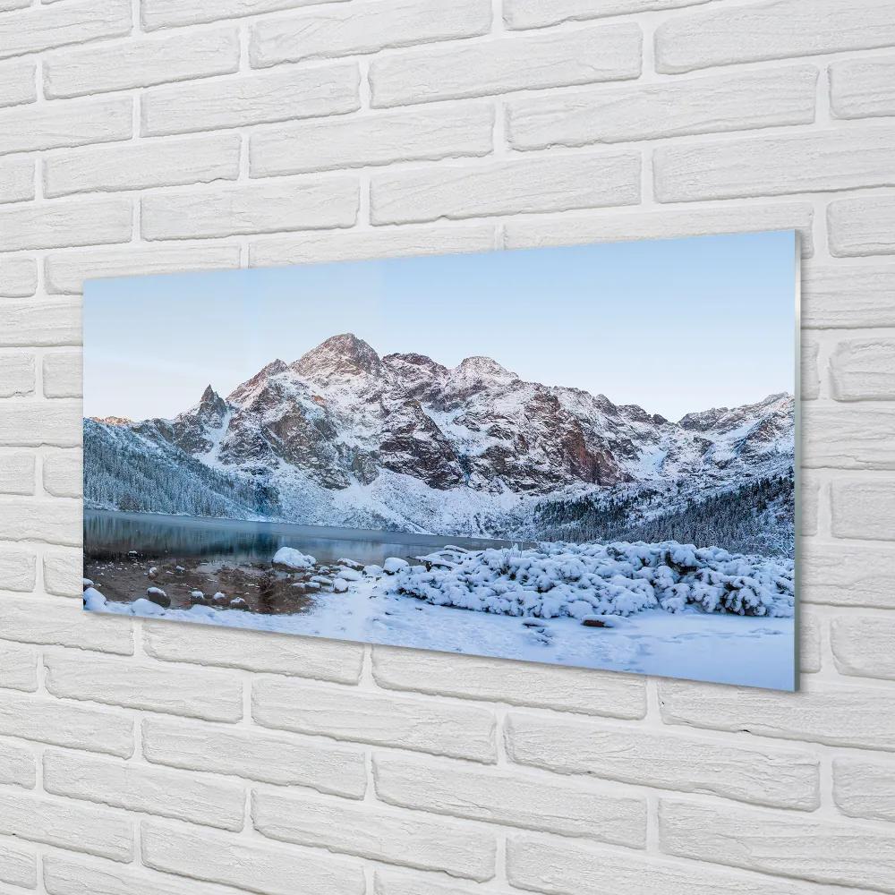 Quadro su vetro acrilico Montagne Lago di neve invernale 100x50 cm