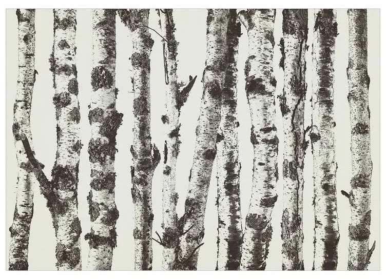 Fotomurale  Stately Birches  First Variant  Larghezza x Altezza Home decor 100x70