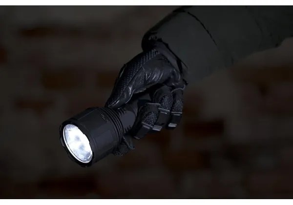 Torcia ricaricabile LED Dimmable LED/30W/5V IPX7 3000 shiny 4200 mAh