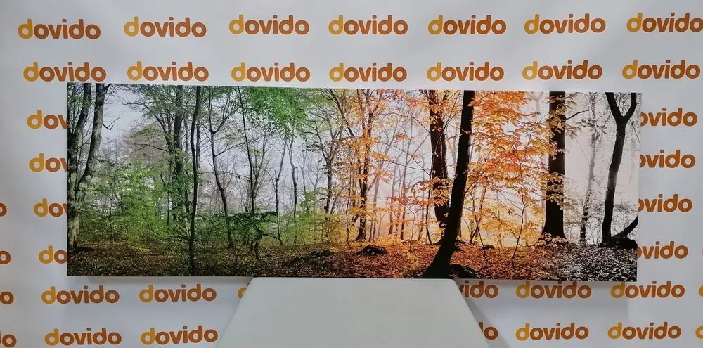 Stampa su tela – Quattro stagioni