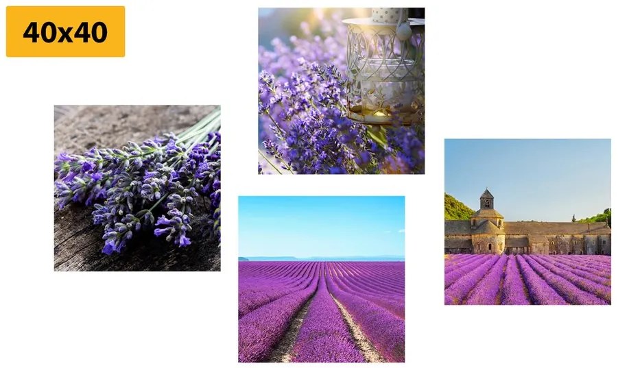 Set di quadri – Bella lavanda