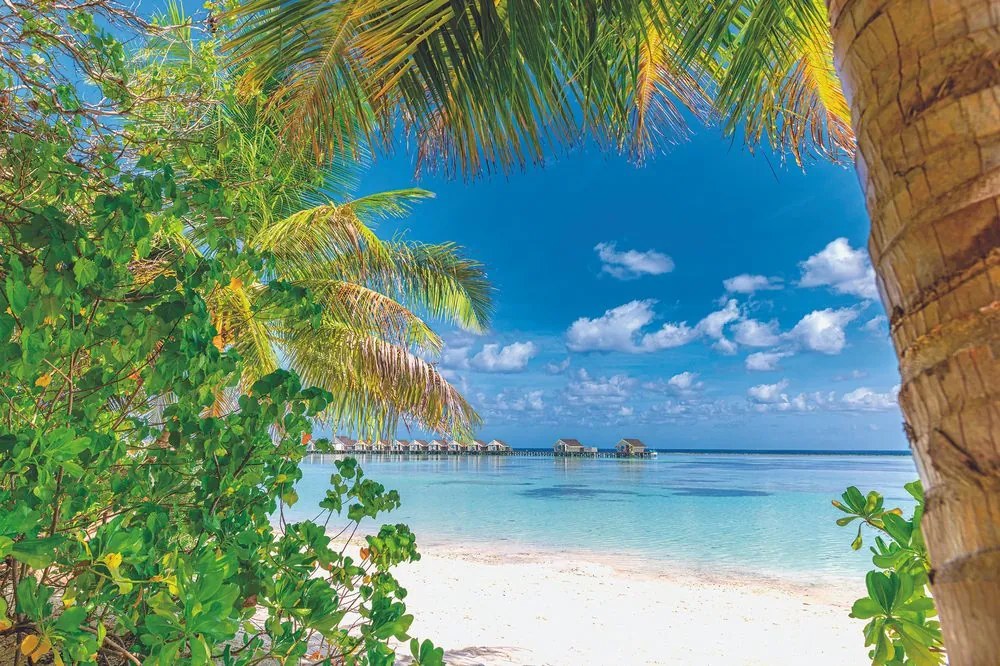 Fotomurale – Relax in resort tropicale
