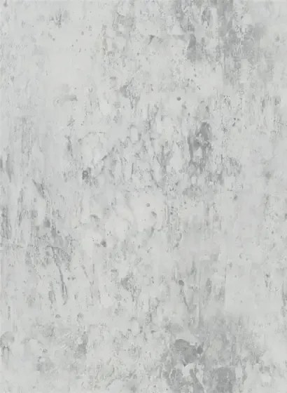 Designers Guild Carta da parati Michaux - Zinc
