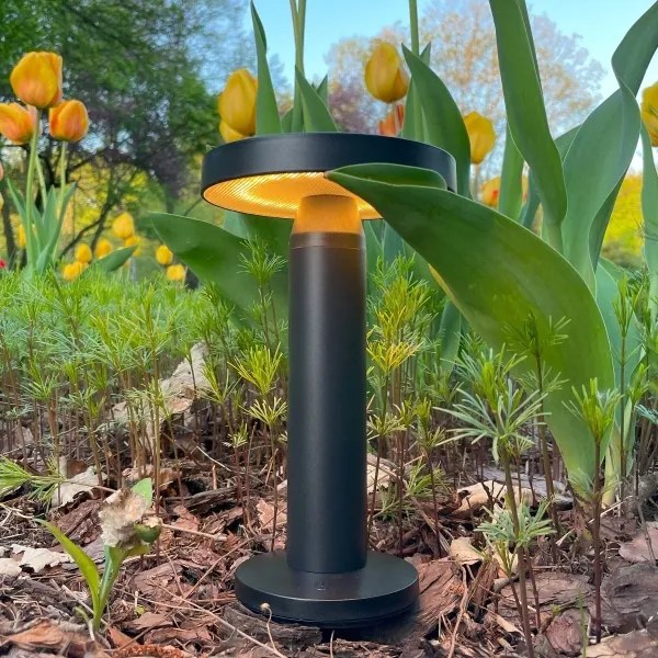 Zuma Line DT33611 - Lampada solare LED CARLI LED/2W/2000 mAh IP44 nero