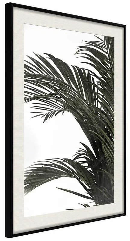 Poster  Jungle Scent  Cornice Quadri Cornice nera con pass-partout, Larghezza x Altezza Home decor 20x30