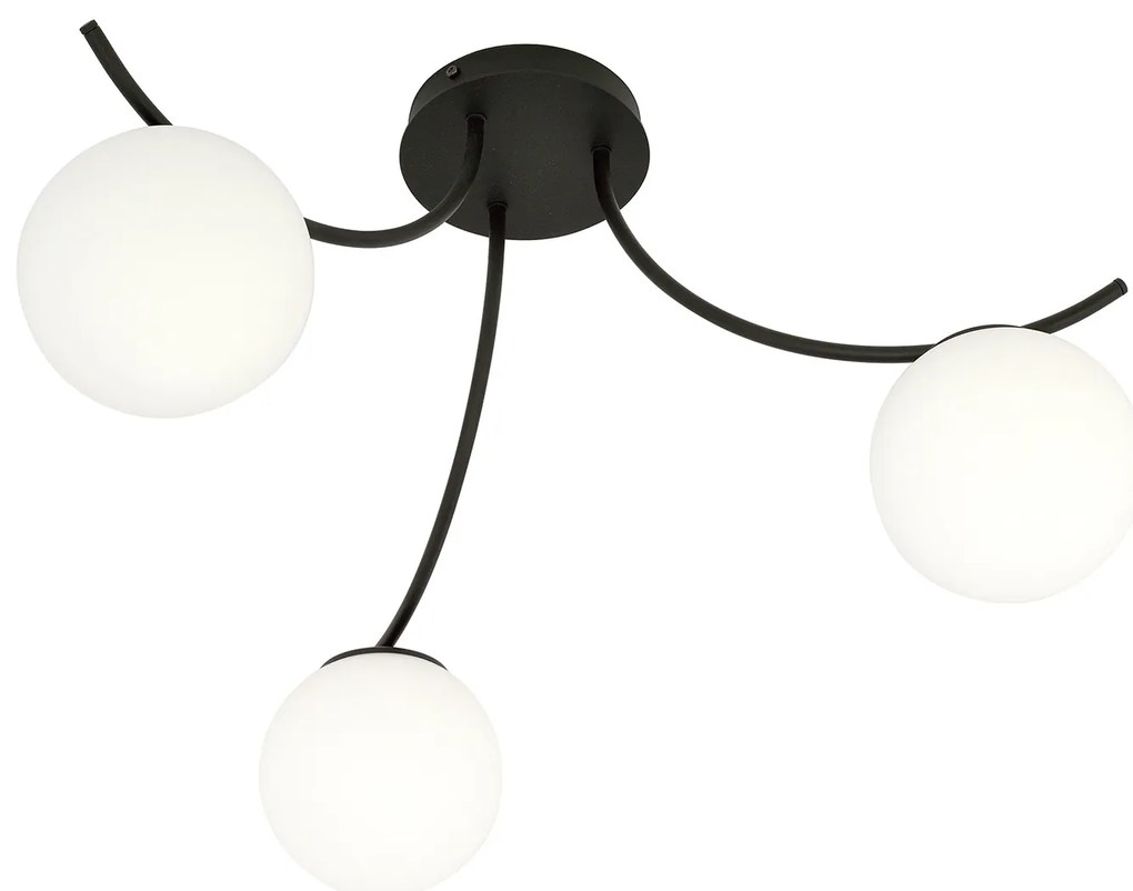 Plafoniera Moderna 3 Luci Coeo In Acciaio Nero E Diffusori In Vetro Opale