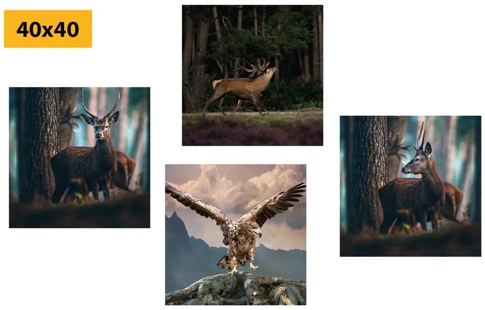 Set di quadri – Bellezza degli animali del bosco