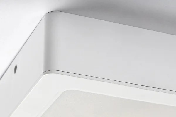 Rabalux 3174 - Plafoniera LED SHAUN LED/12W/230V 14,5 cm