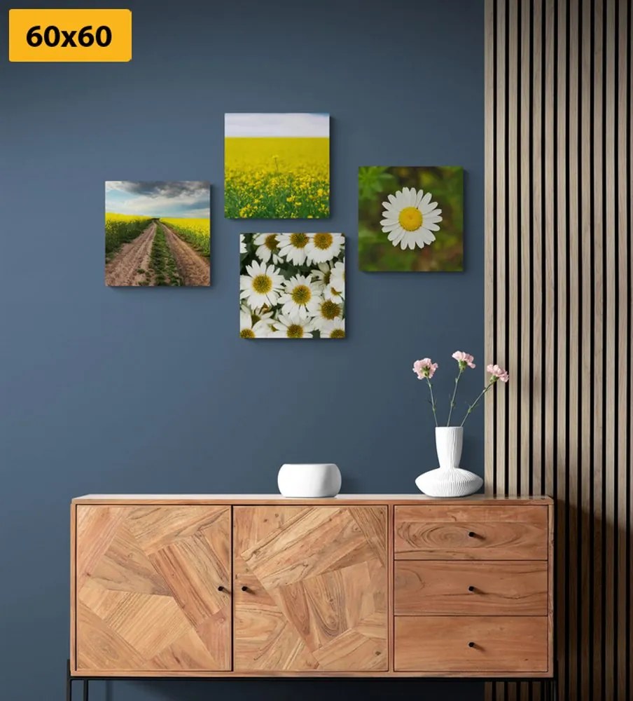 Set di quadri – Prato pieno di fiori