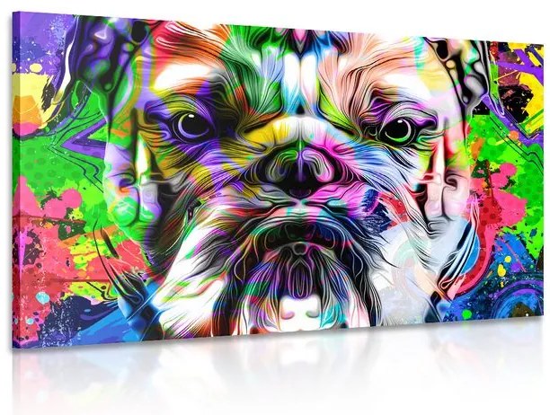 Quadro su tela – Bulldog pop-art