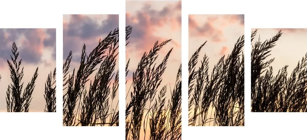 Quadri 5 pezzi – Erba al tramonto