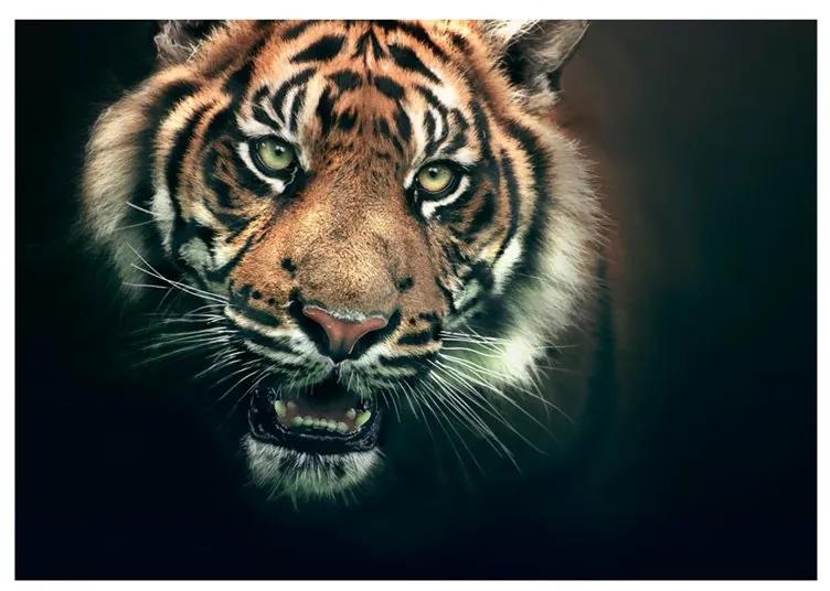 Fotomurale Tigre del Bengala