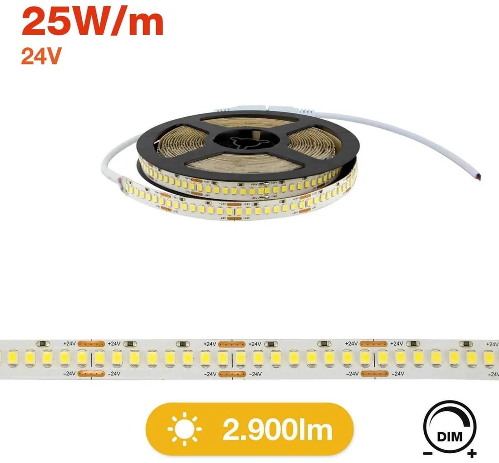 Striscia LED Professional 2835/224 - IP20 - 25W/m - 2.900lm/m- 5m - 24V Colore Bianco Freddo 5.700K