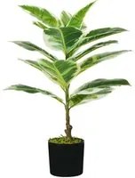 Pianta Artificiale Ficus Elastica H65 cm con Vaso Verde