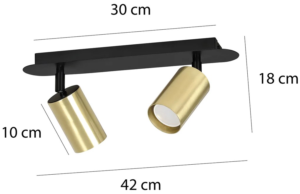 Plafoniera Spot Faretti Regolabili 2 Luci Guanyin A Cilindro In Acciaio Nero E Oro