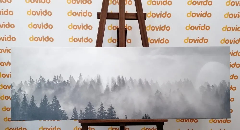 Quadro su tela – Nebbia sopra la foresta in bianco e nero
