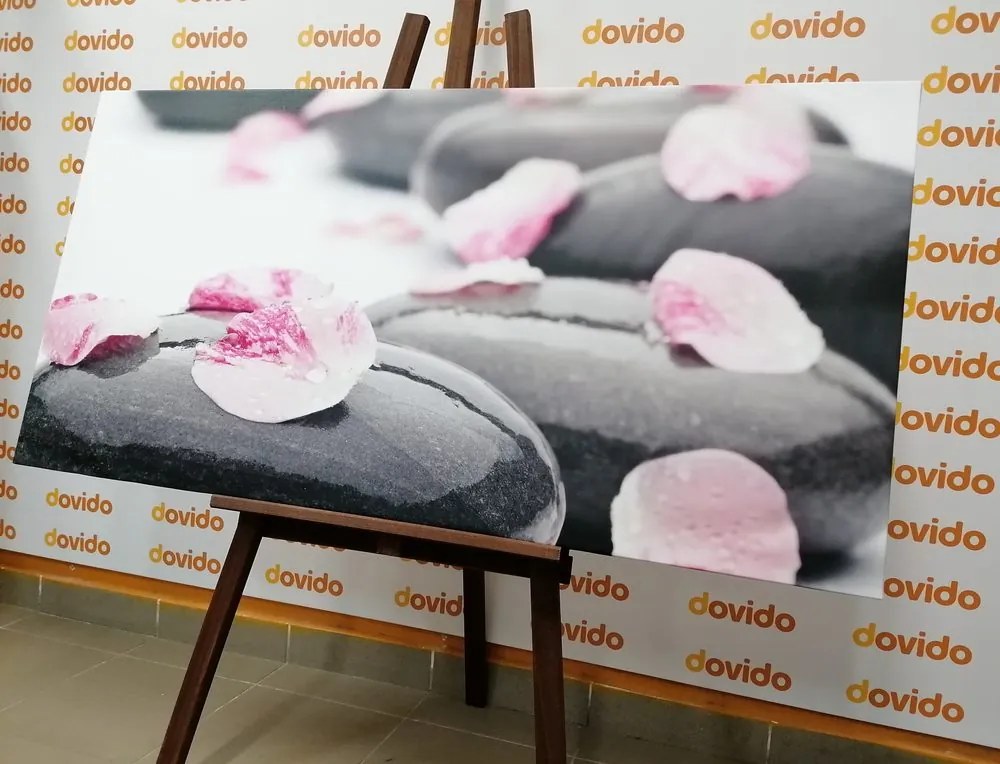 Quadro su tela – Pietre wellness con petali