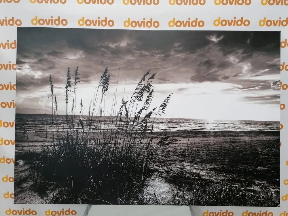 Stampa su tela – Tramonto sulla spiaggia in bianco e nero