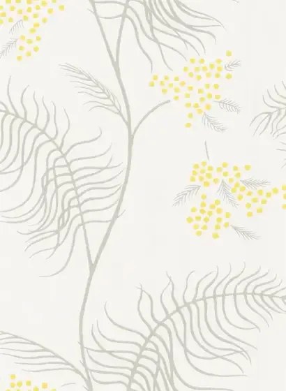 Cole & Son Carta da parati Mimosa - Creme/ Grau/ Gelb