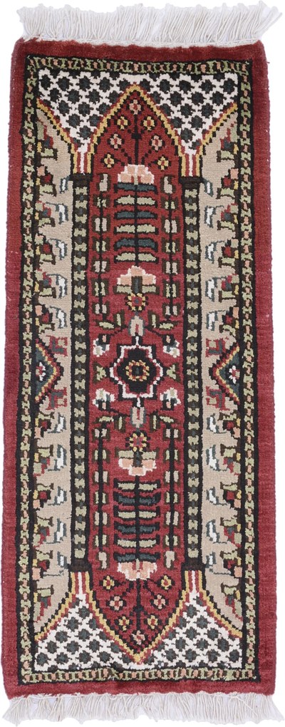 Agra Tappeto 30 x 60 (Indian) Annodato A Mano