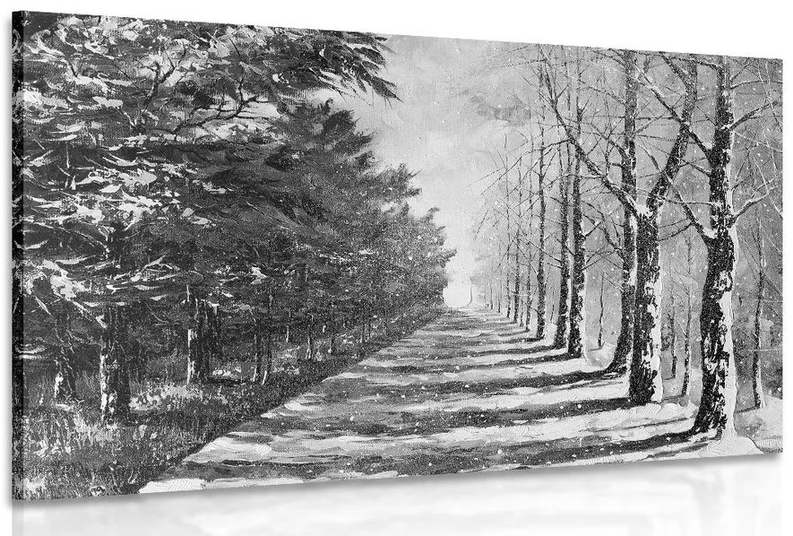 Stampa su tela – Viale alberato autunnale in bianco e nero