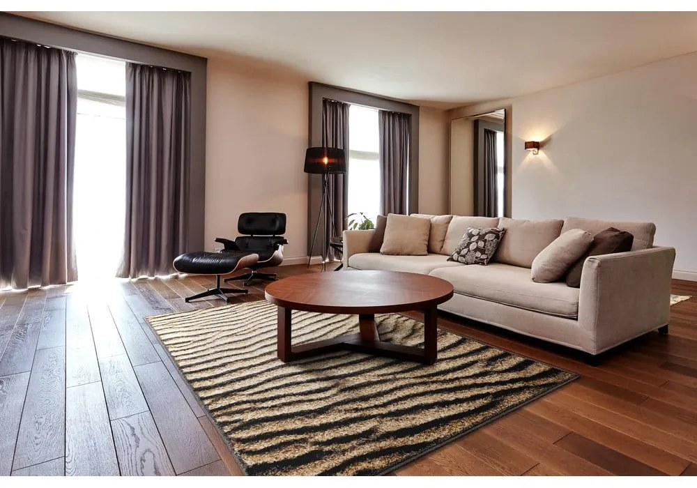 Tappeto marrone 160x220 cm Avanti - FD