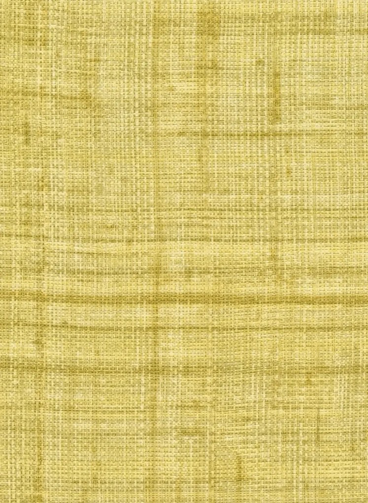 Élitis Carta da parati Abaca - VP 983 60