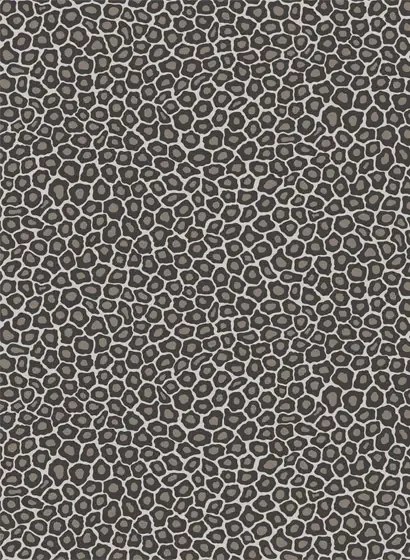 Tapete Senzo Spot von Cole & Son - Black/ White