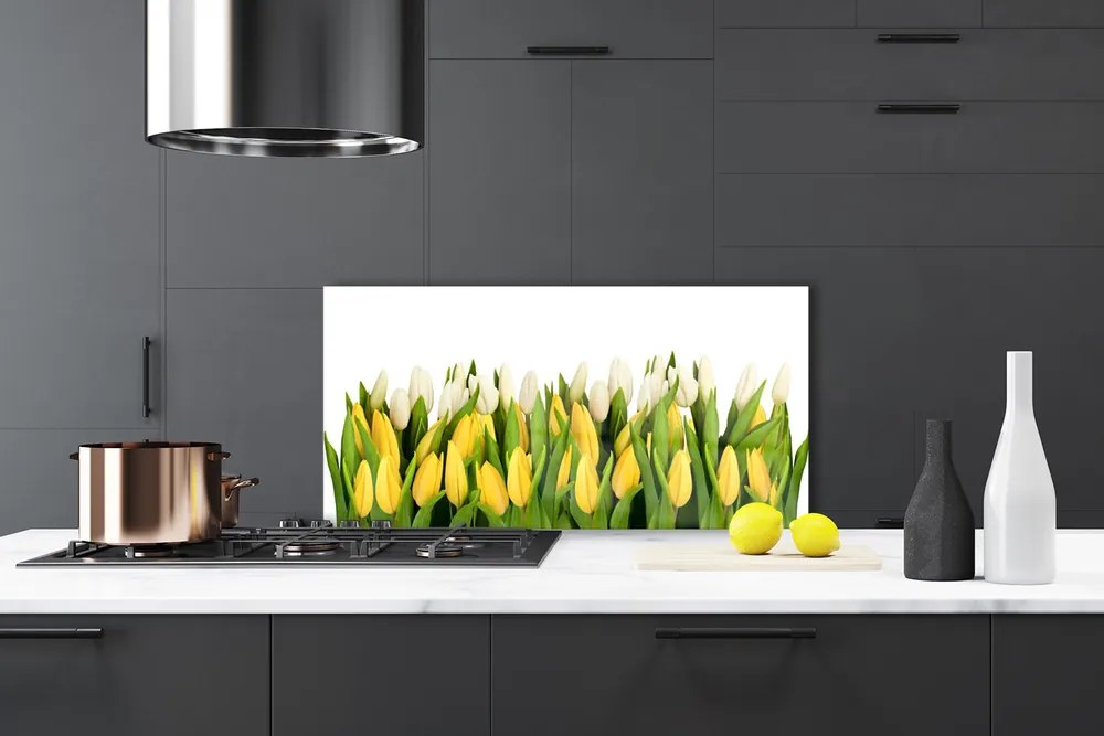 Pannello paraschizzi cucina Tulipani, fiori, piante 140x70 cm