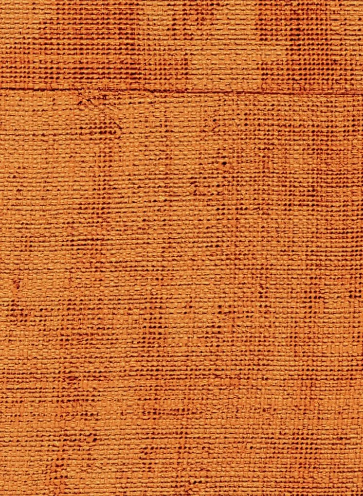 Élitis Carta da parati Atelier d'Artiste - VP 880 07
