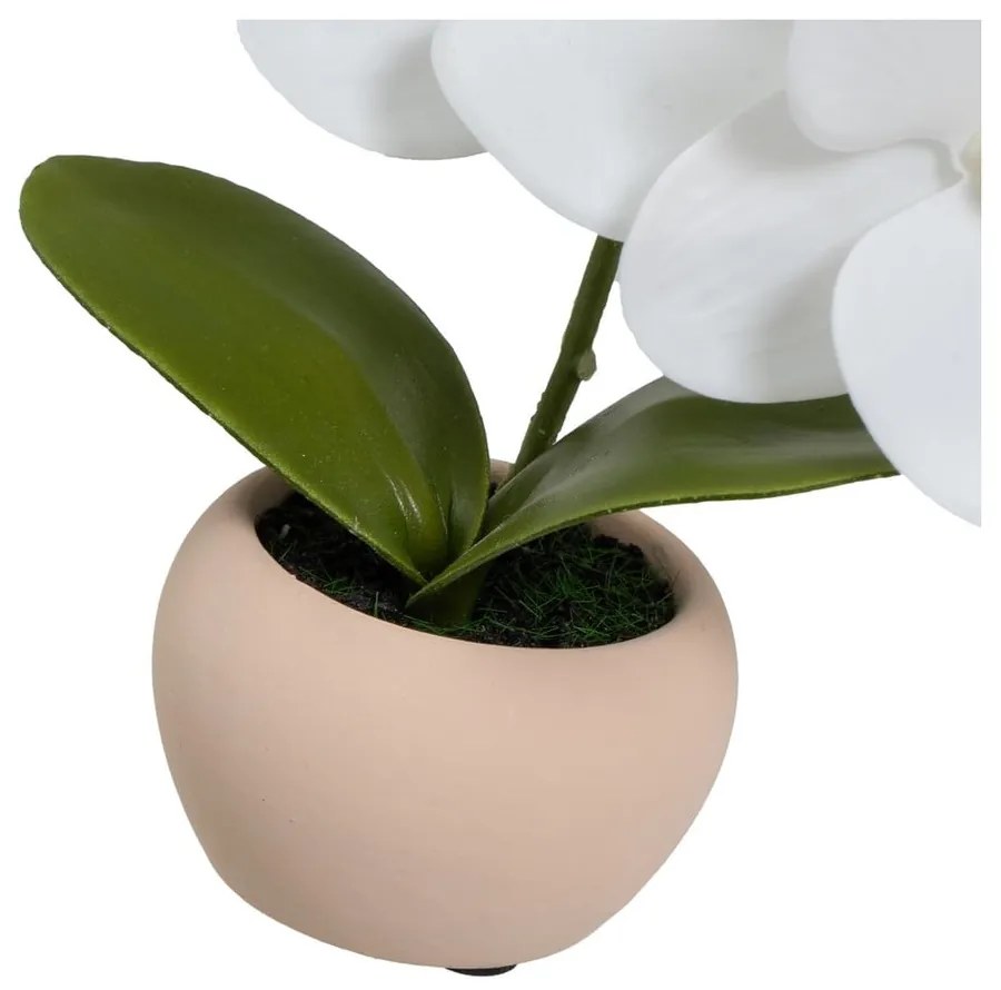 Piante artificiali in set da 3 (altezza 15 cm) Orchid - Casa Selección