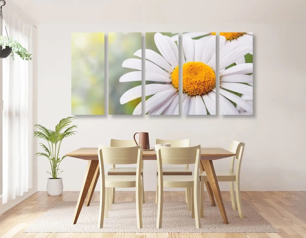 Quadri 5 pezzi – Fiori di margherita