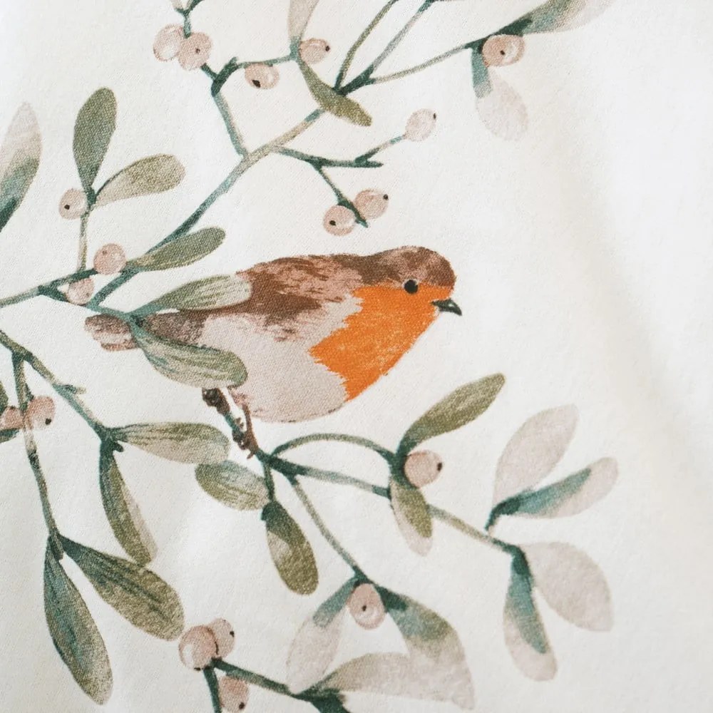 Biancheria da letto in flanella crema per letto matrimoniale 200x200 cm Mistletoe Robins - Catherine Lansfield