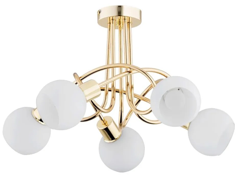 Lampadario a plafone ERYKA 5xE14/10W/230V oro