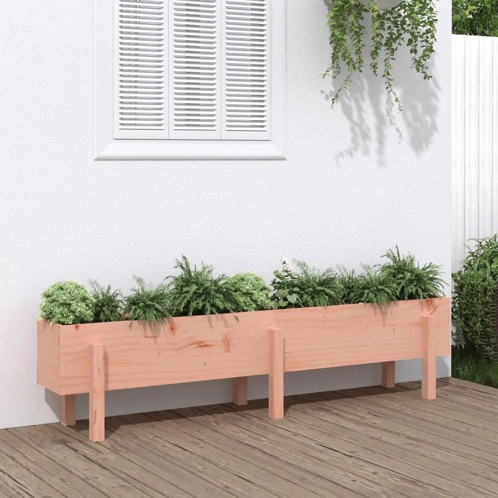 Fioriera Rialzata Giardino 160x30x38 Cm Legno Massello Douglas /