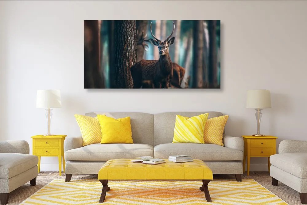 Quadro su tela – Cervo nel bosco